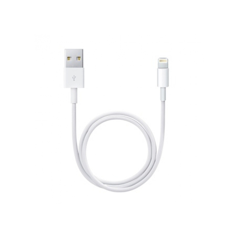 Apple Lightning To Usb Cable (0.50 M)