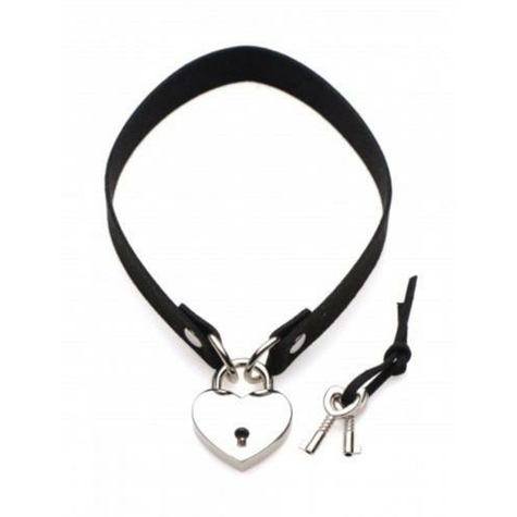 Lock-It Heart Collar With Lockable Heart