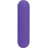 Essential Powerbullet Purple